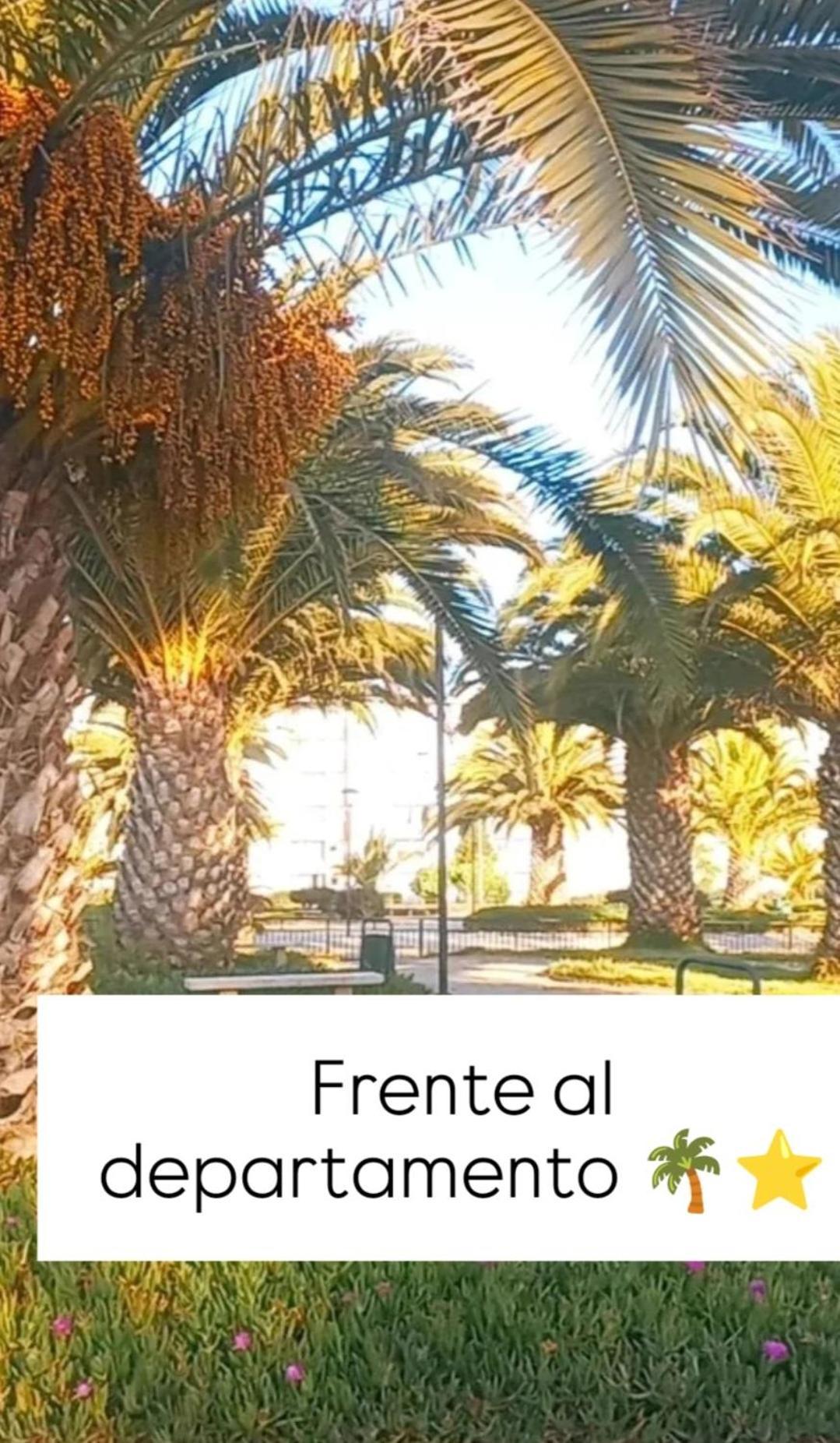 Apartamento Loft A Pasos De La Playa *